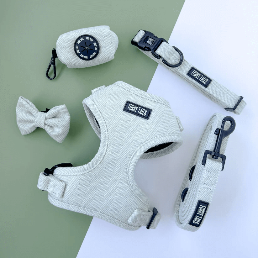 Dog Harness (Full Set) (Peppermint) – Dog Harness, Dog Collar, Dog Lead, Dog Poo Holder, Dog Bow Tie – by Furry Tails