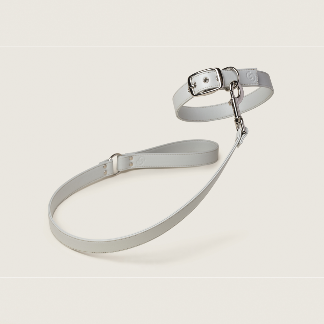 Ice Blue Dog Lead (Vegan Apple Leather) – by Skylos Collective