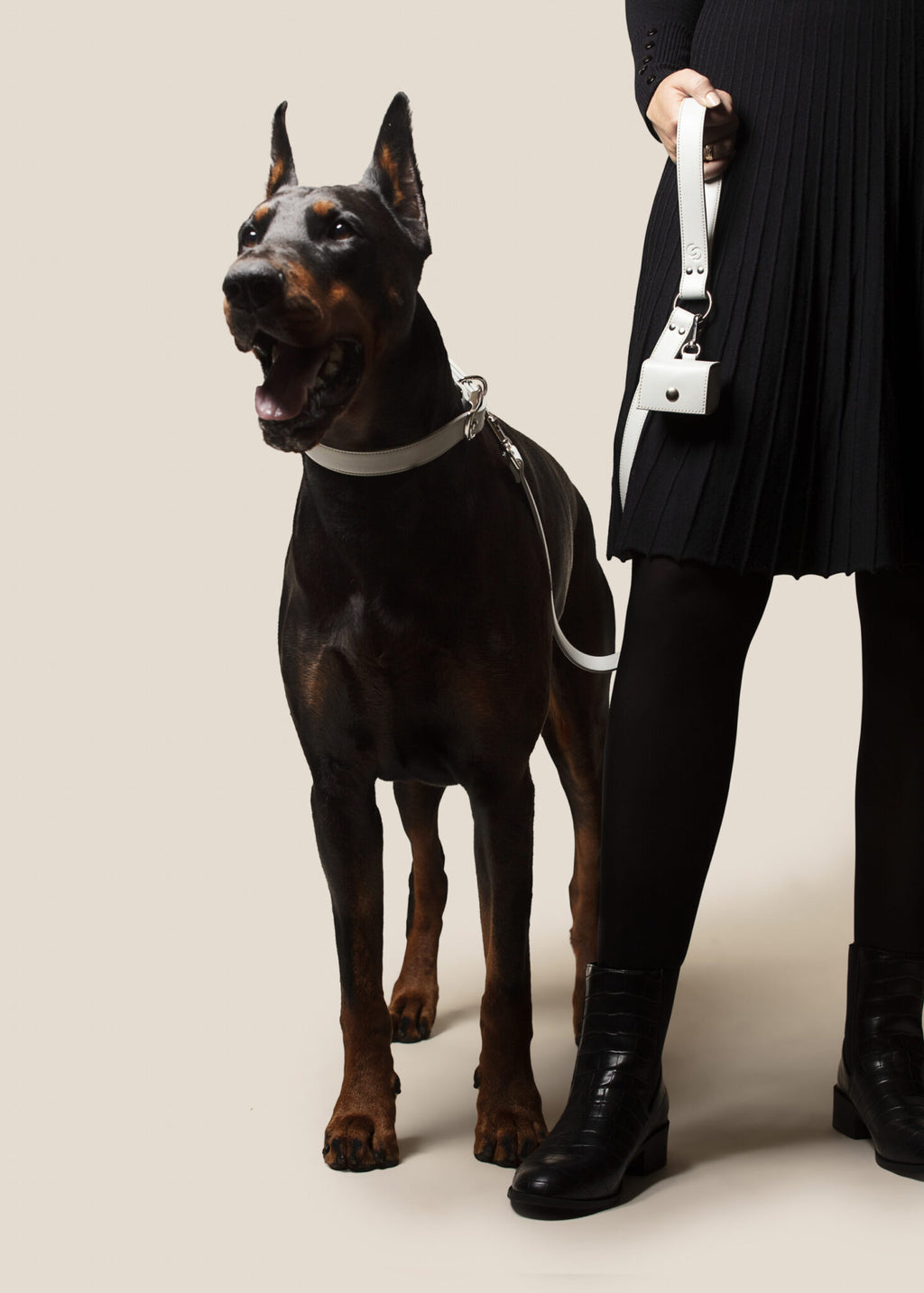 Ice Blue Dog Lead (Vegan Apple Leather) – by Skylos Collective