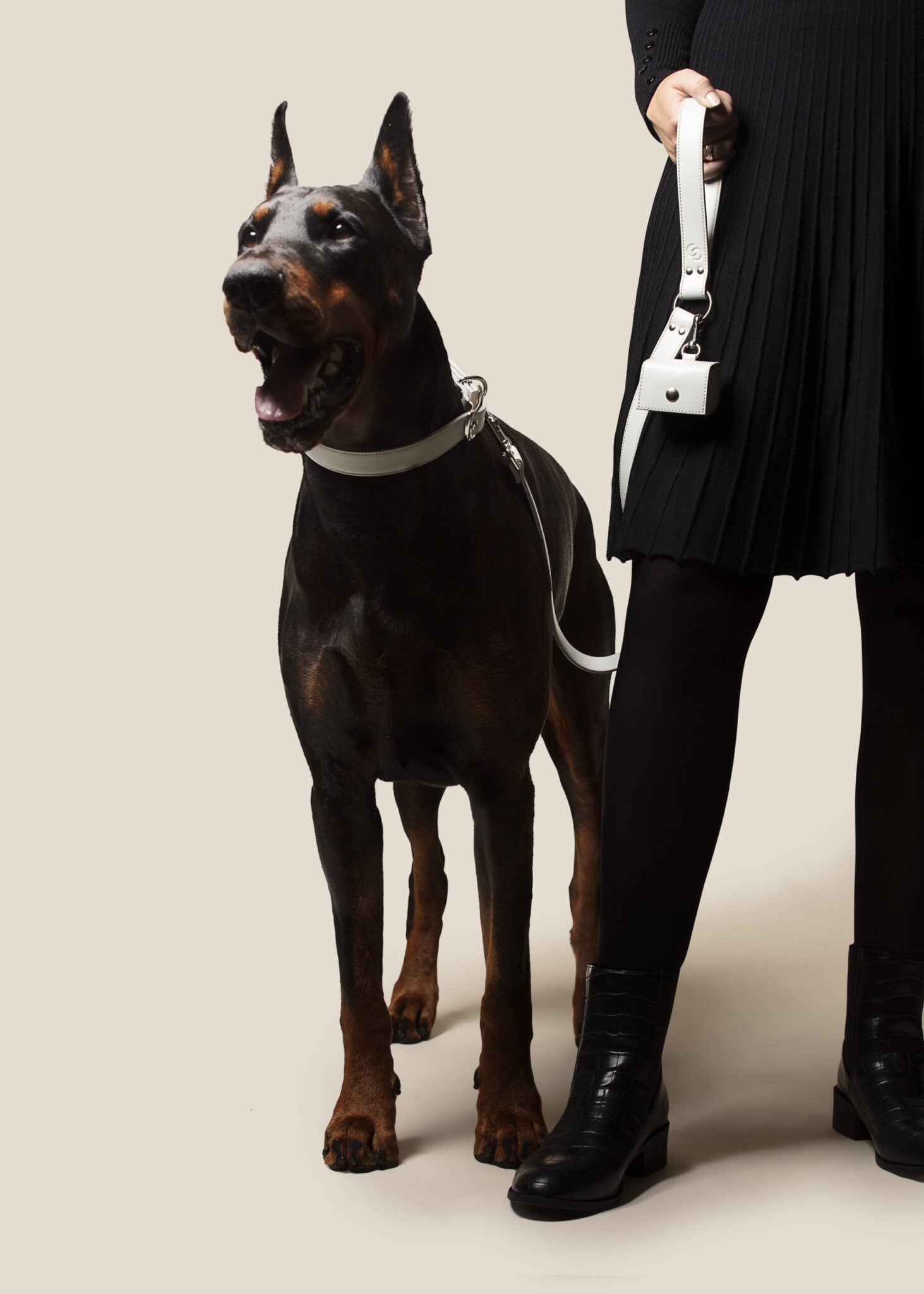 Ice Blue Dog Lead (Vegan Apple Leather) – by Skylos Collective