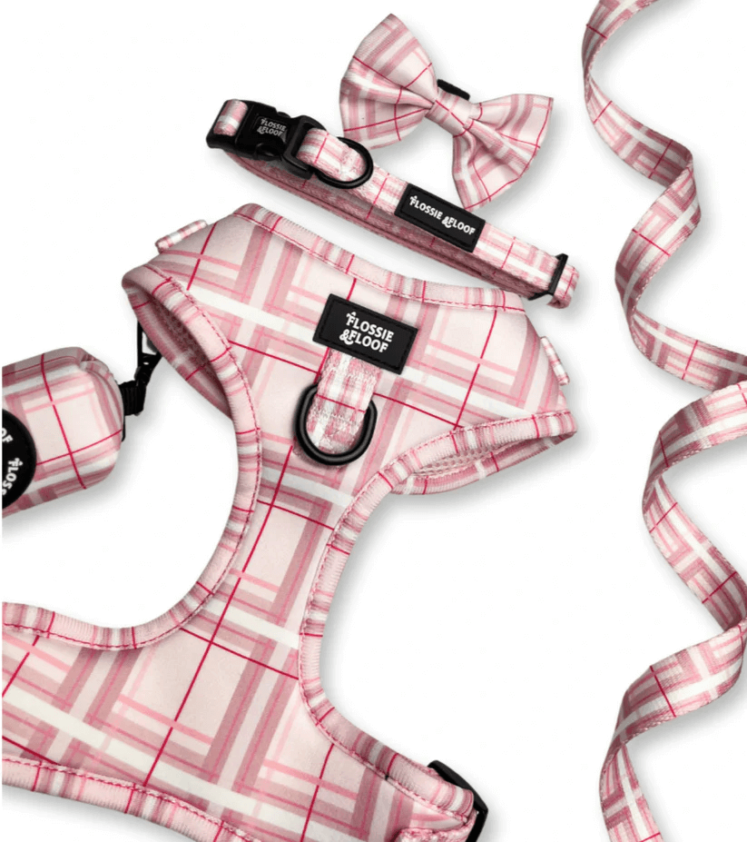 Oxford "Blush" Dog Bow Tie – by Flossie & Floof