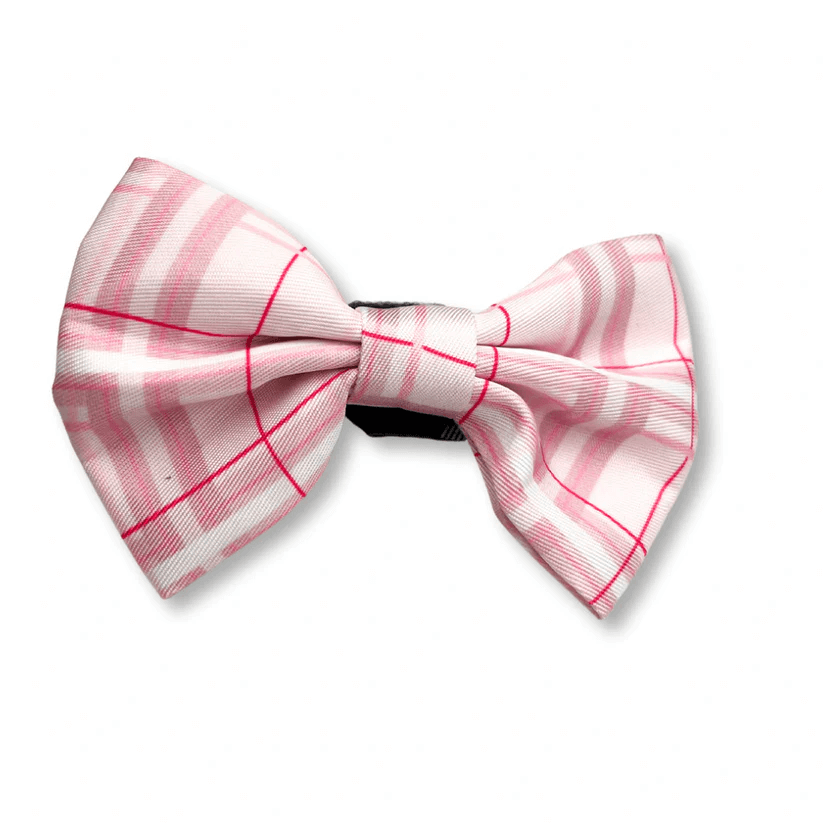 Oxford "Blush" Dog Bow Tie – by Flossie & Floof