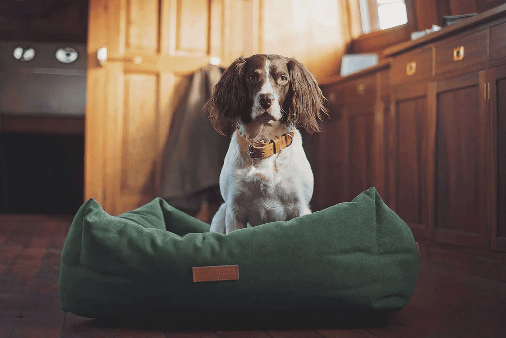 “Richmond” Stonewash Nest Dog Bed – by Ralph & Co