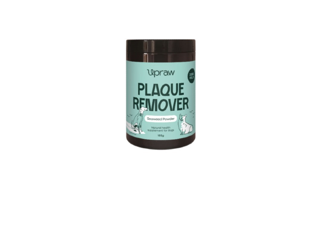 Plaque remover powder